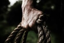 financial control for profitability