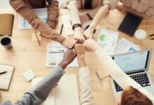 financial forecasting model development