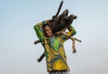 financial resilience for sustainability
