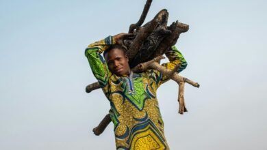 financial resilience for sustainability