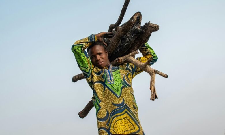 financial resilience for sustainability