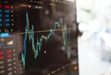 harnessing financial data insights