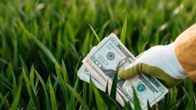 sustainable financial growth strategies