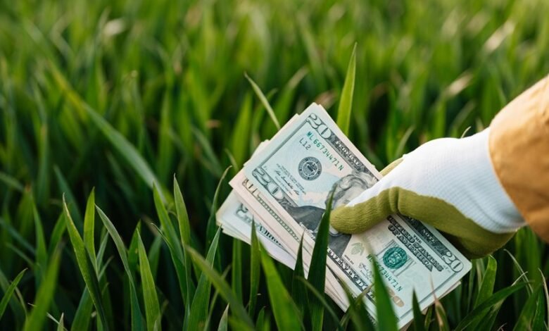 sustainable financial growth strategies