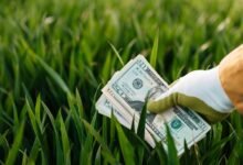 sustainable financial systems development