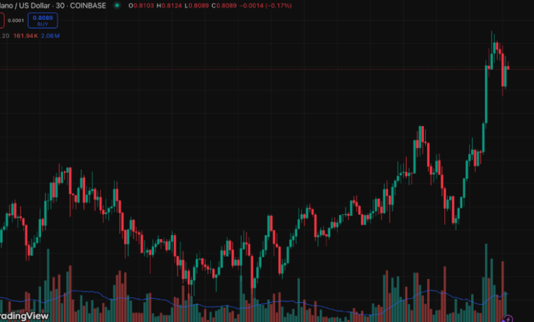 Predicting ADA Price USD: What to Expect in the Next Few Months