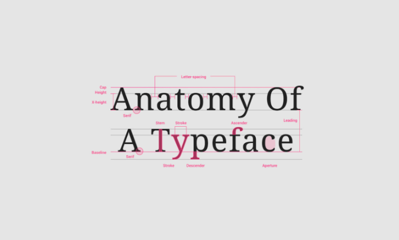 Why Serif Fonts Convey Trust and Tradition